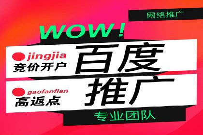 搜索引擎营销（SEM）在本地市场的应用与效果——以某地区企业案例为证